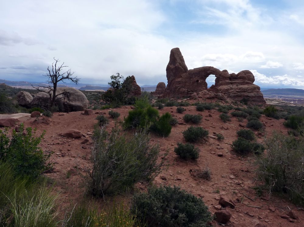 Arches Windows Arches (23).JPG